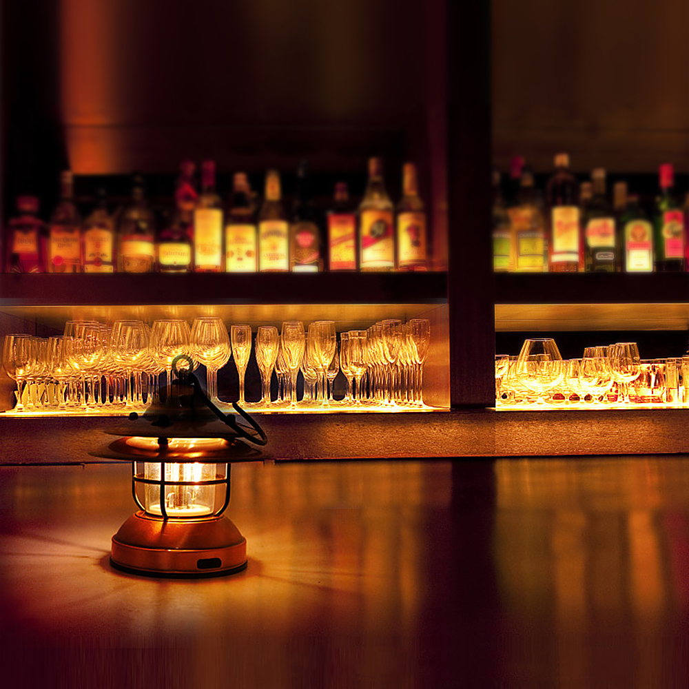 Mini Hanging Camping Lantern USB Outdoor Light Water Resistant Garden Lamp with 2 Lighting Modes for Garden Yard Camping Lantern Mini Hanging Camping Lantern USB Outdoor Light Water Resistant Garden Lamp with 2 Lighting Modes for Garden Yard Camping Lantern